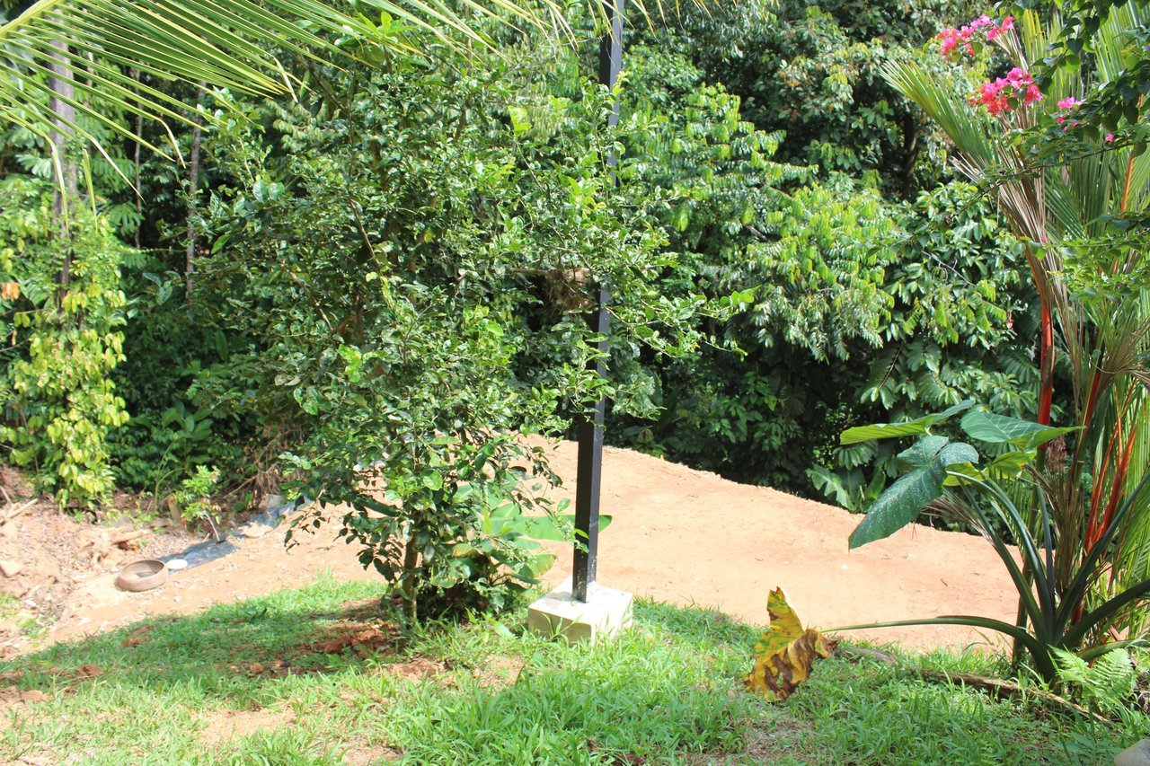 Spacious 2 Bedroom Minutes to the Beach