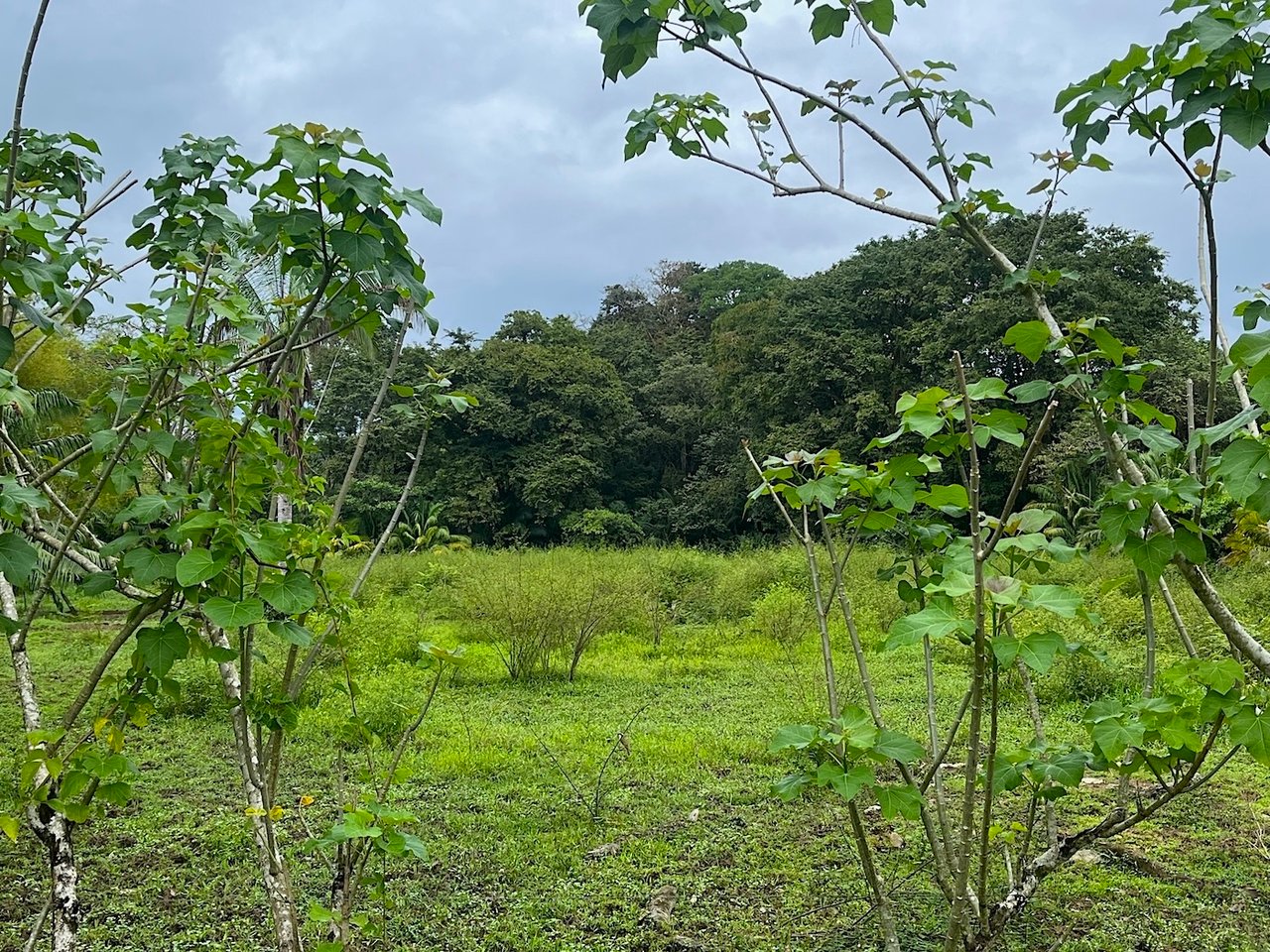 Titled Land Steps from the Beach, Uvita, Puntarenas