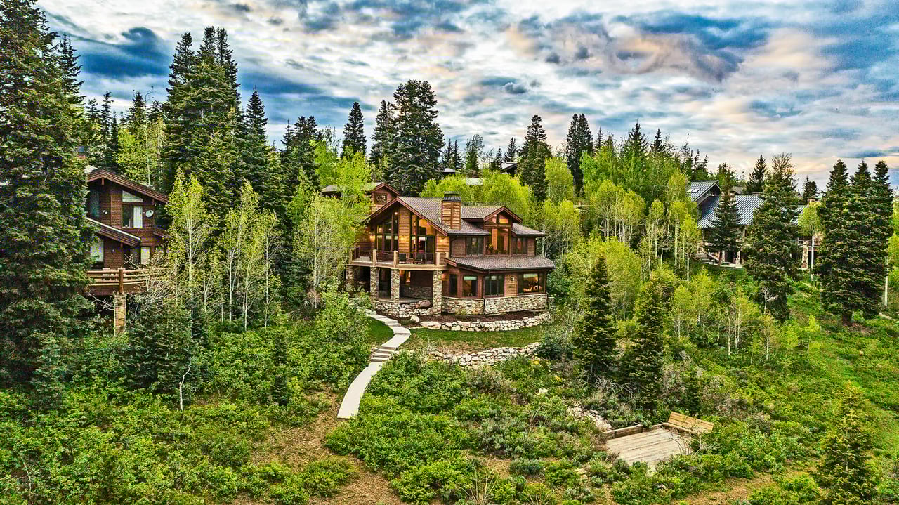Several houses nestled among tall evergreen trees on a hillside