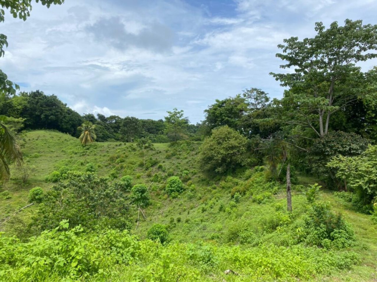 Prime Development Homesite, Manuel Antonio, Puntarenas