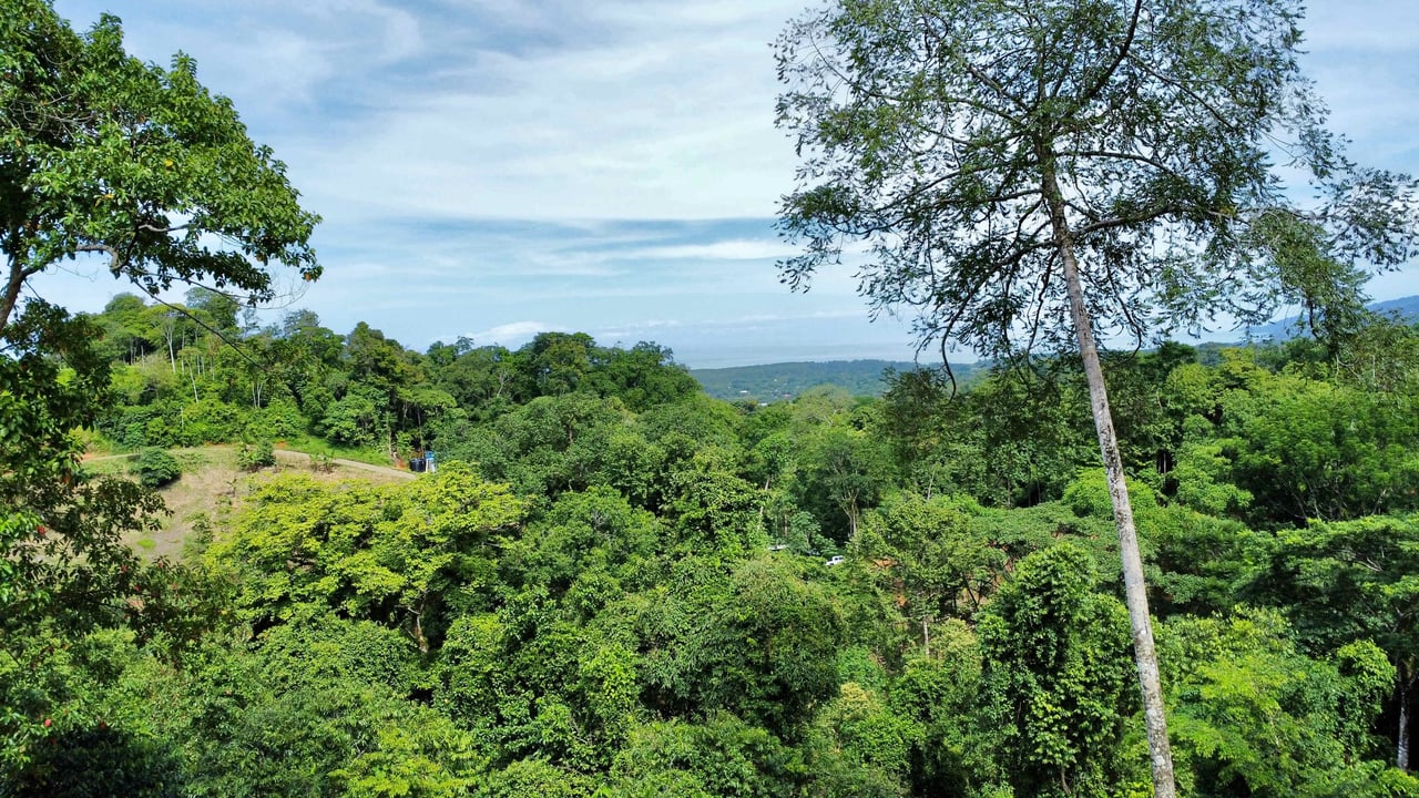 Marvelous Ocean View Parcel in Uvita.