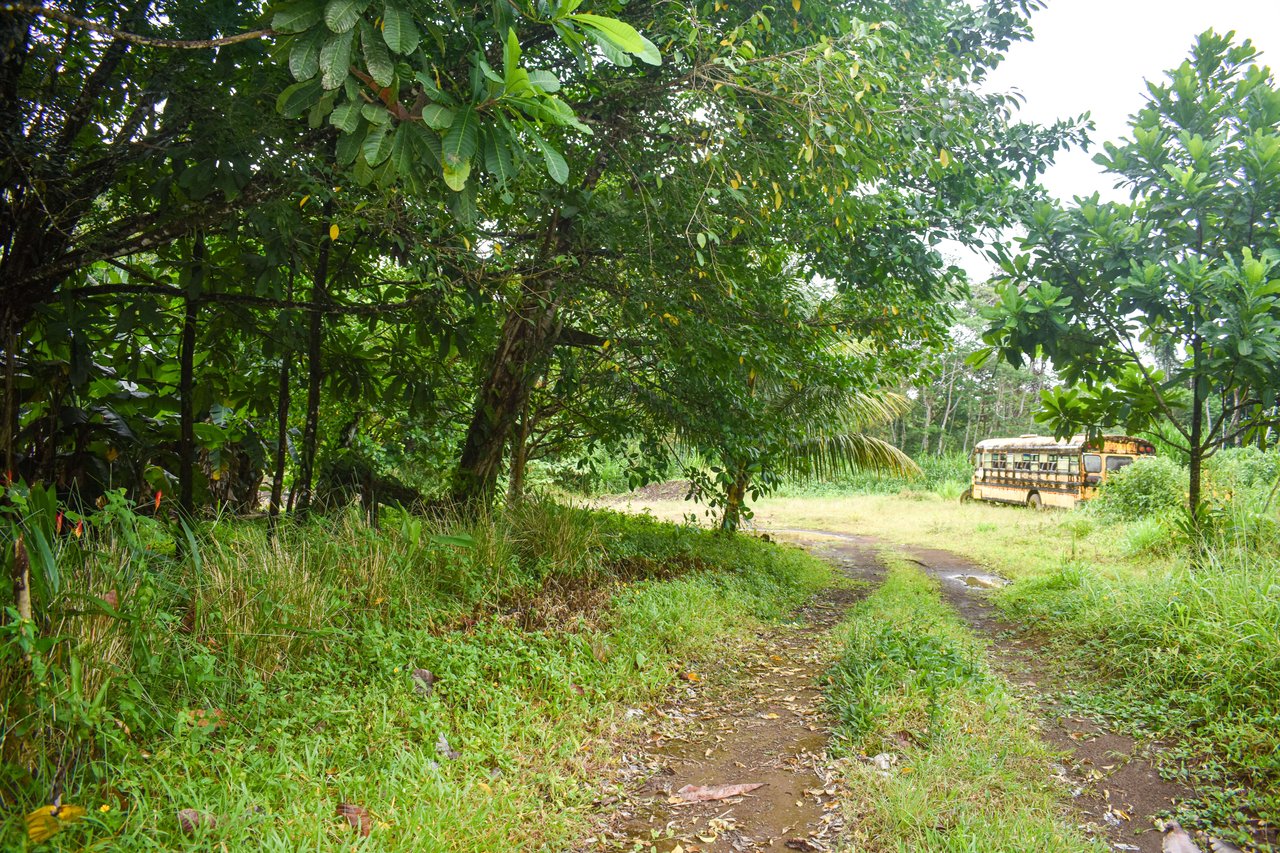 Casa Colibri with two small apartments | Bordered by the Bijagua River and Bijagua Creek.