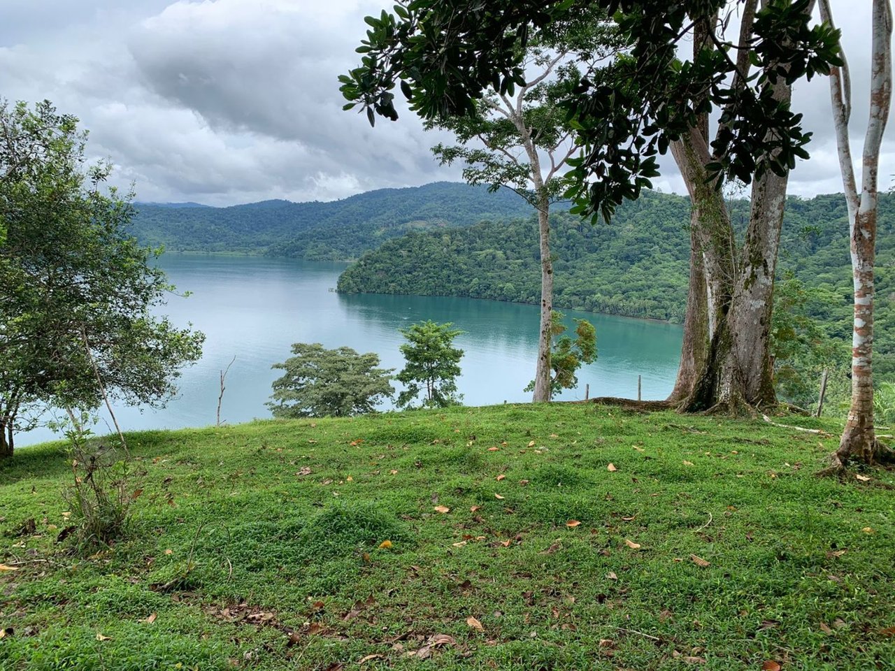 Coastal Development Land, Osa, Puntarenas