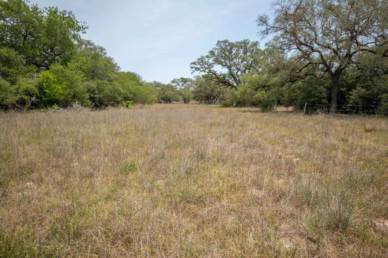 Green DeWitt Rd | 40.82± Acres | DeWitt County
