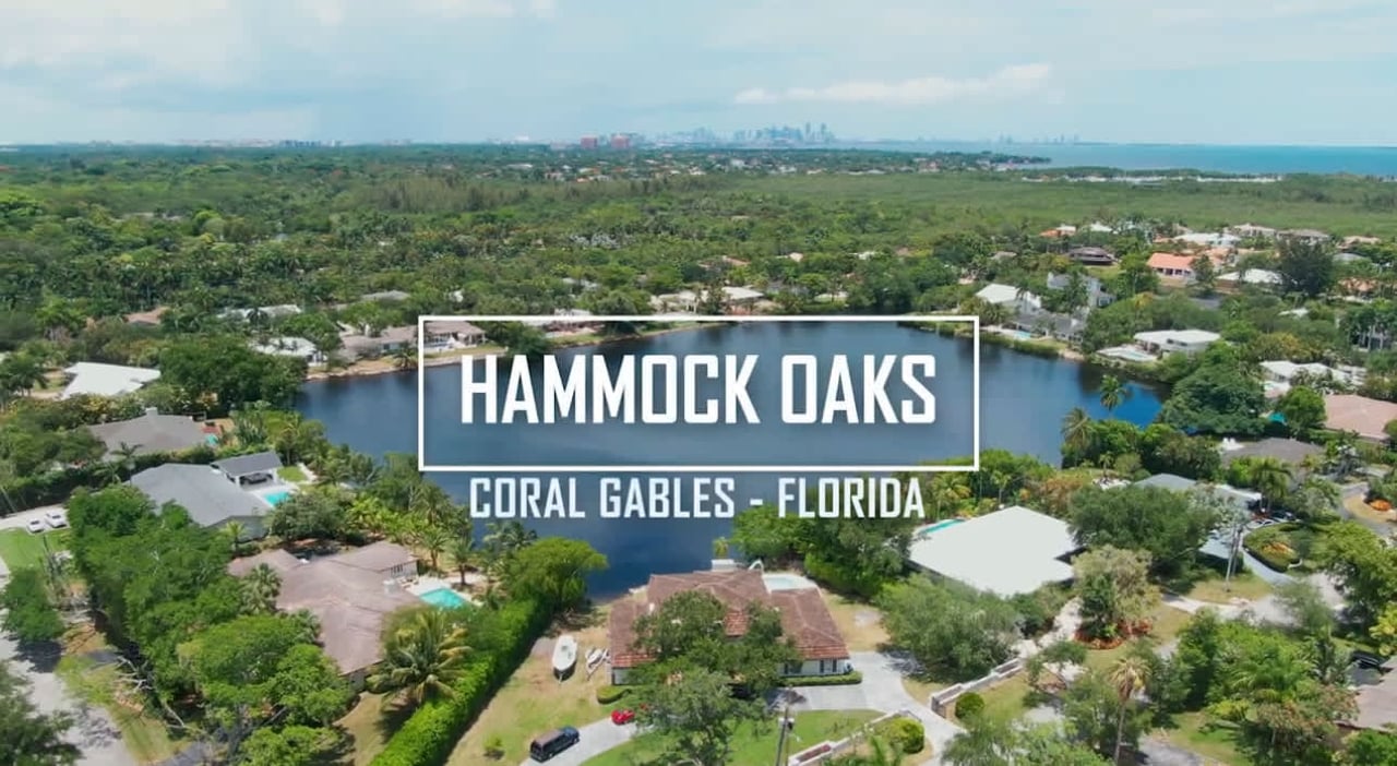 Hammock Oaks