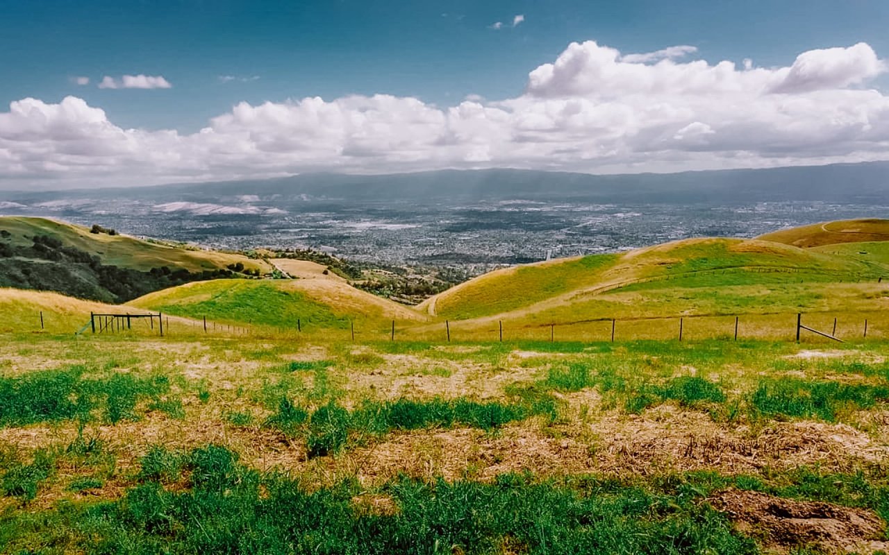 Meadow Vista
