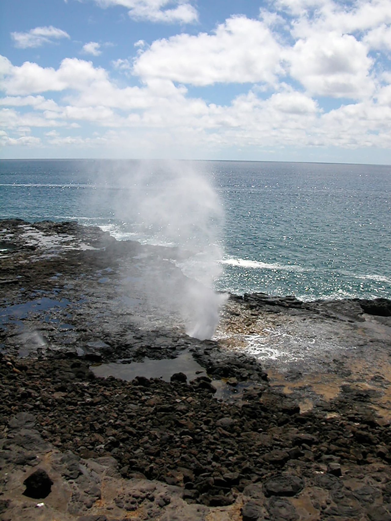 SPOUTING HORN