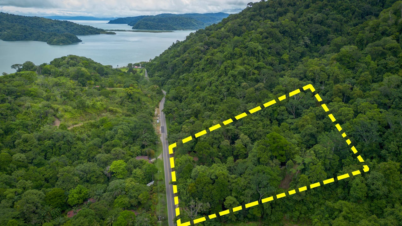 Prime 9.4-Acre Ocean View Land in Golfito