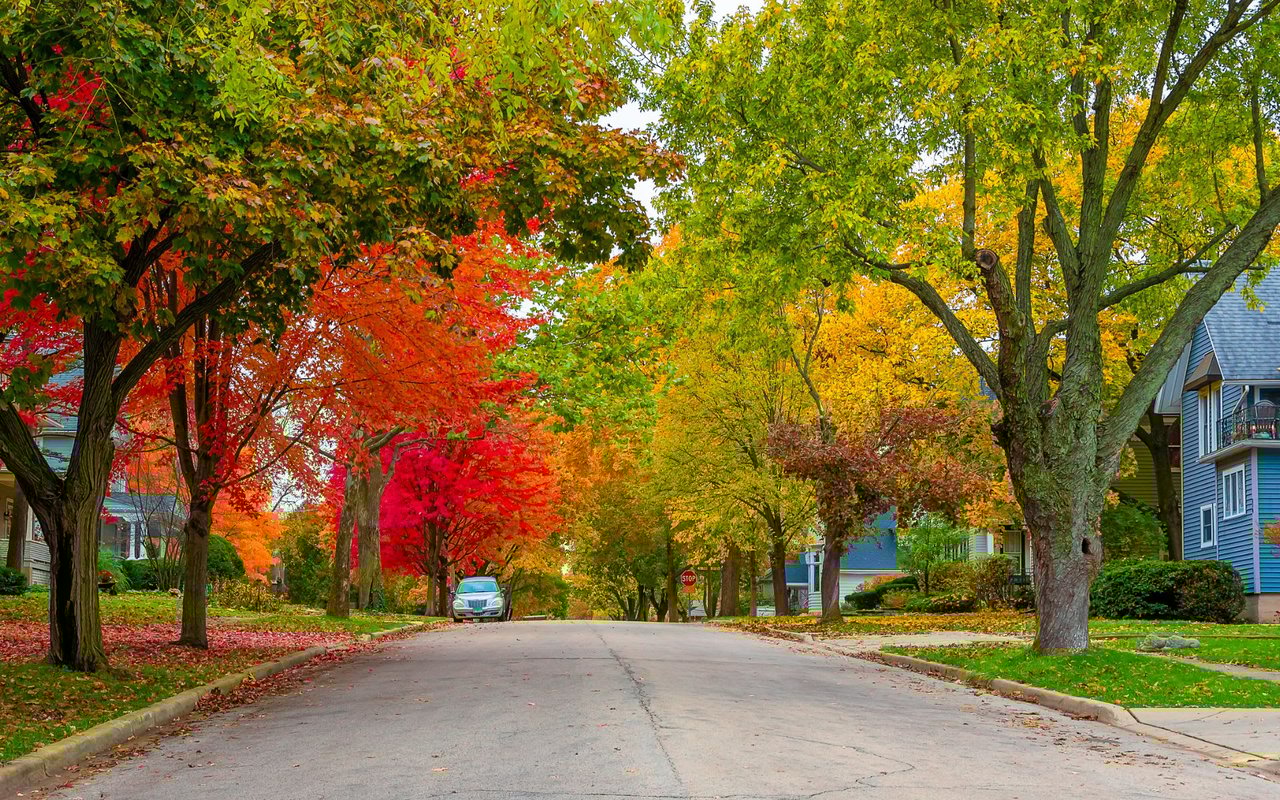 Edwardsville