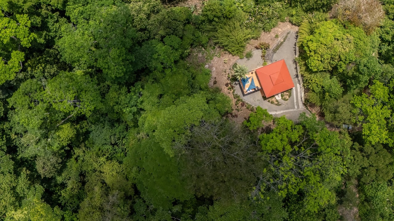 3 Bedroom Ocean View Home with 2.5 acres. Nature and Privacy! 