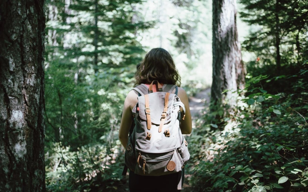 The Top Attractions in Roanoke, VA, For Locals or Tourists