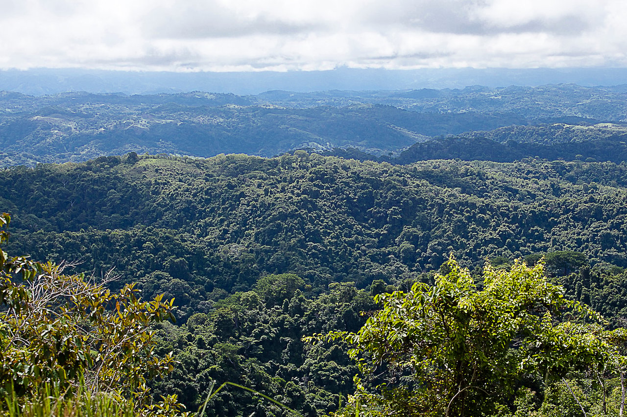 Private Ocean View Development Farm, Jaco, Puntarenas