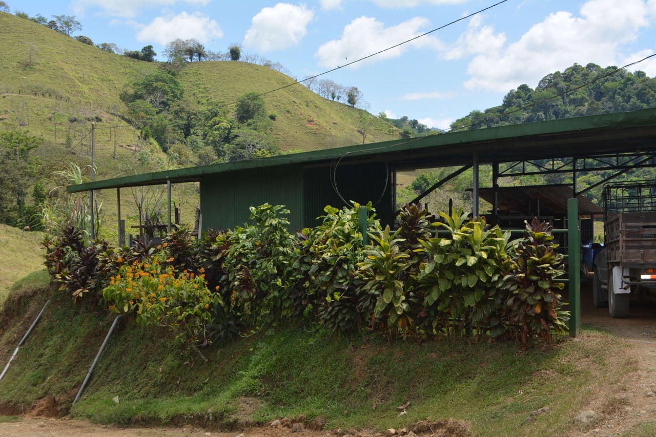 Quiet 3 Bedroom Home On 25 Acres