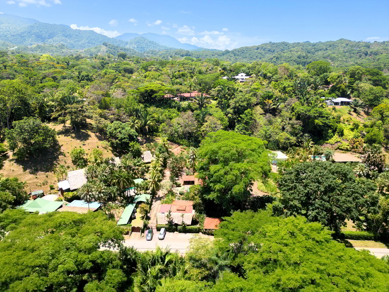 A MONEY MAKER! Location, home, guest cabins, with a SUCCE$$FUL exclusive distribution agency!