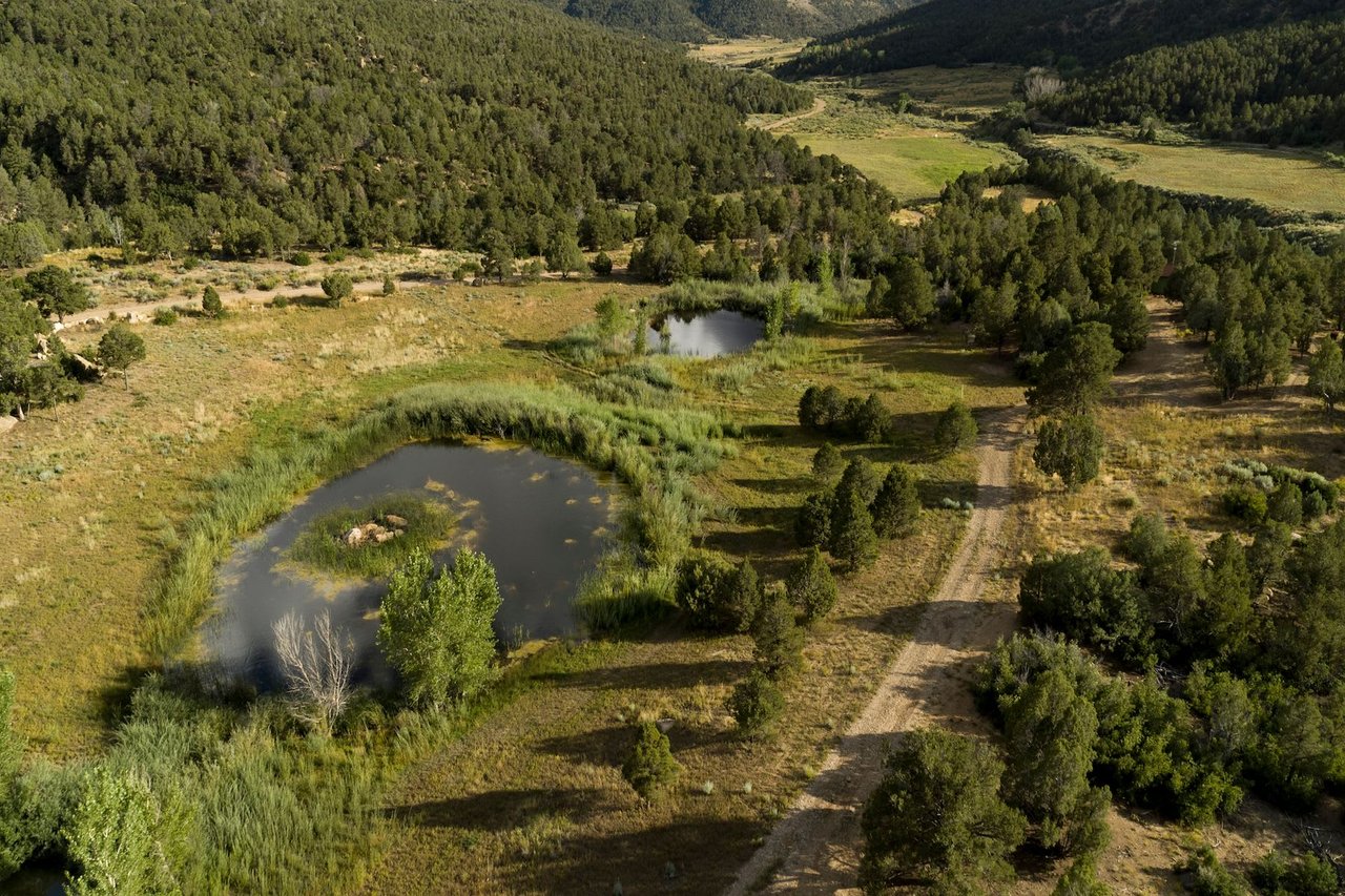 Weber Creek Ranch