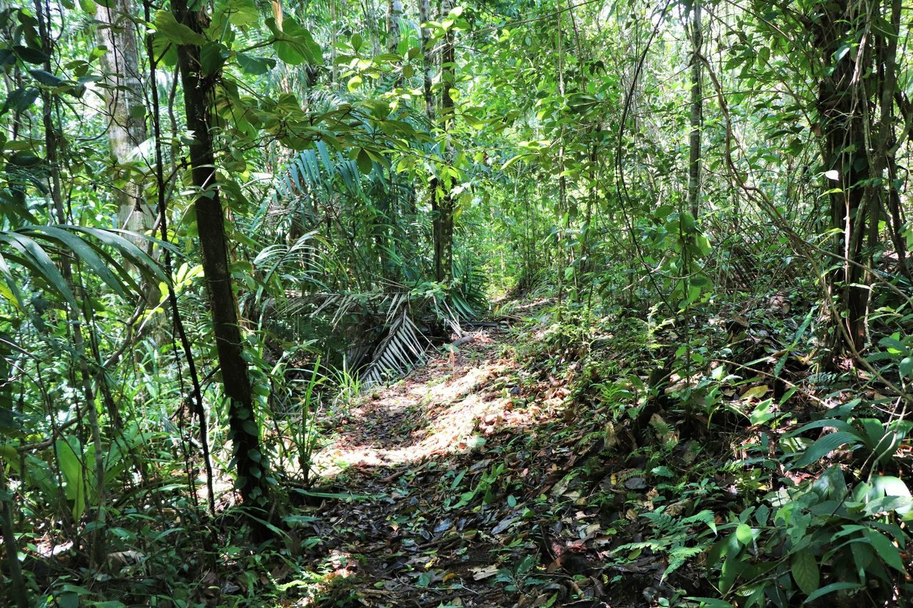 Private Beachfront Development Land, Ojochal, Puntarenas