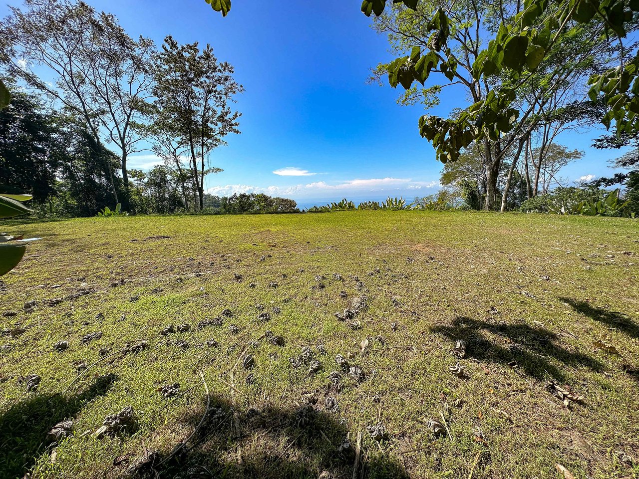 A prepared, 1.5 Acres jungle immersed lot with spectacular views of the Whale’s Tail. 