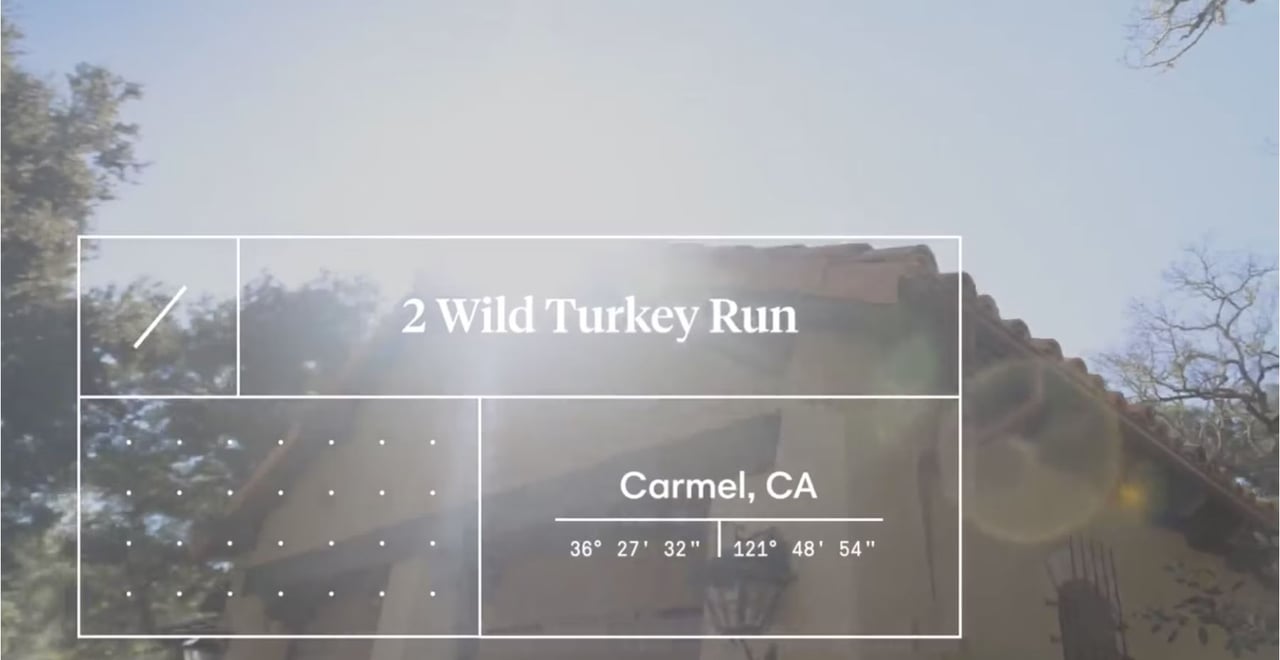 Two Wild Turkey Run