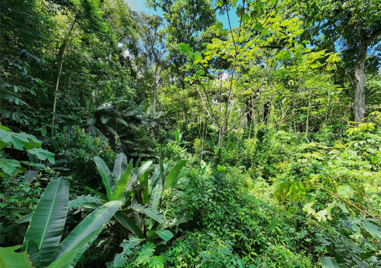 Riverfront Development Land, Ojochal, Puntarenas