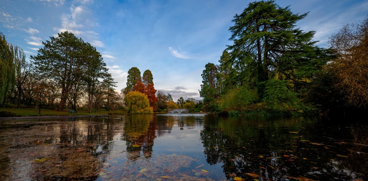 One of Victoria's best know parks, Beacon Hill Park in Fairfield Victoria