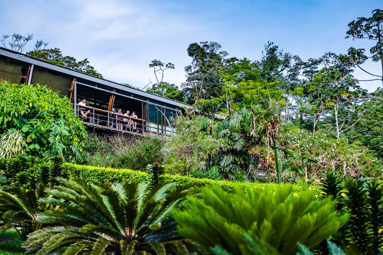Celeste Mountain Lodge | Mountain Hotel/Resort/Hostel For Sale!
