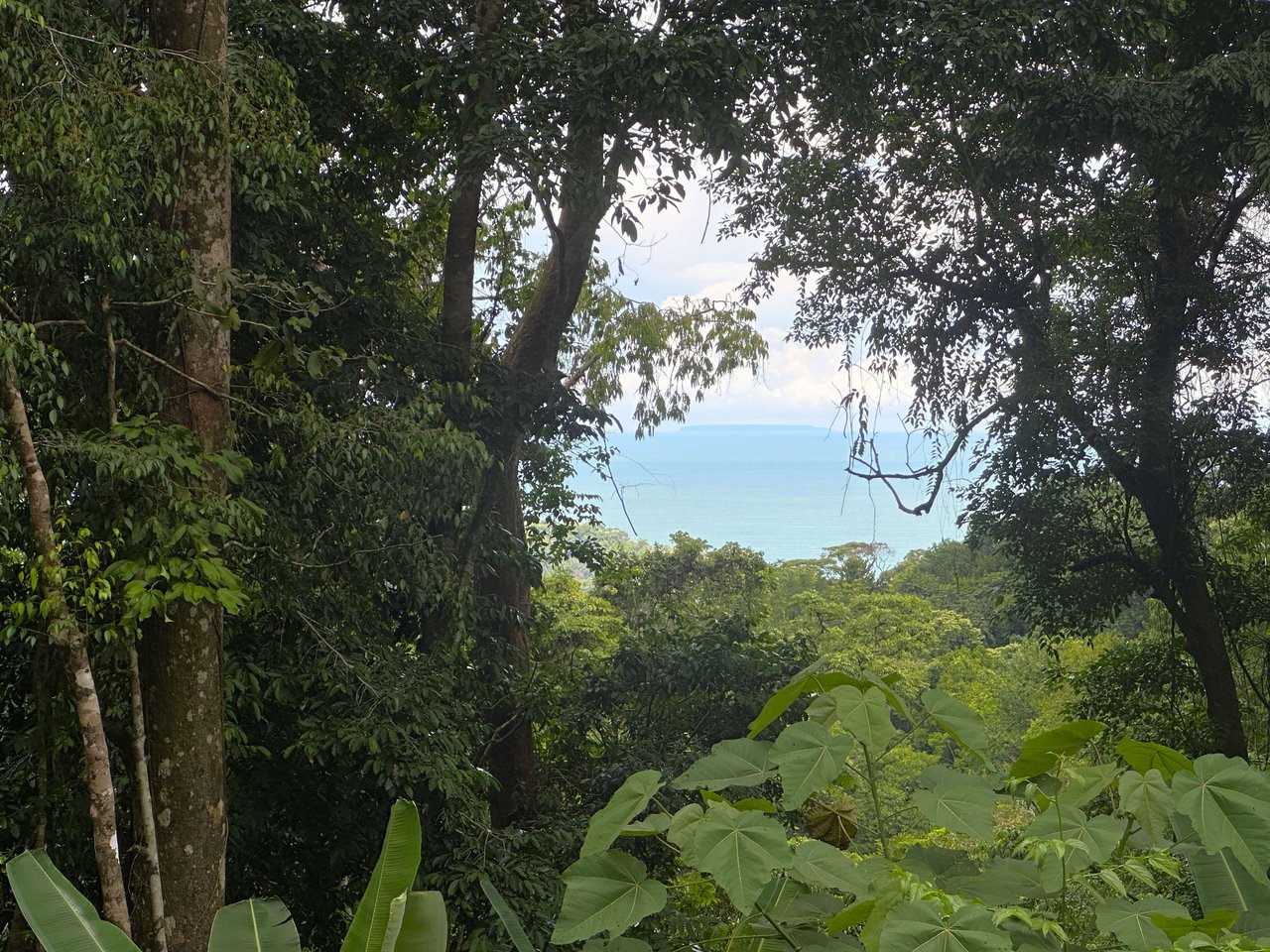 11.24 Acres With Two Stunning Ocean View Building Sites In Cinco Ventanas! Ojochal (Cinco Ventanas, Puntarenas, CR - 60504)
