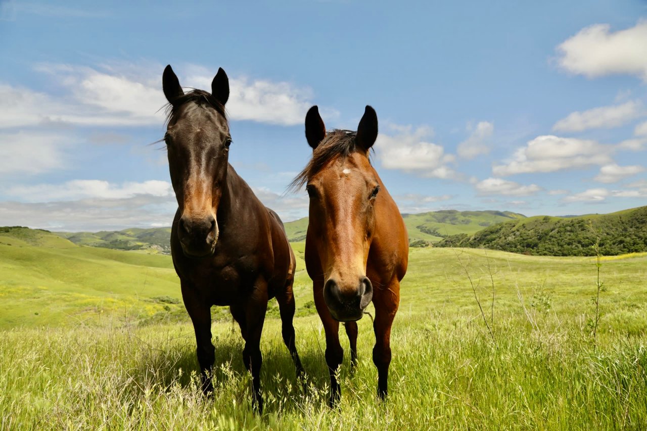 La Hoya Creek Ranch