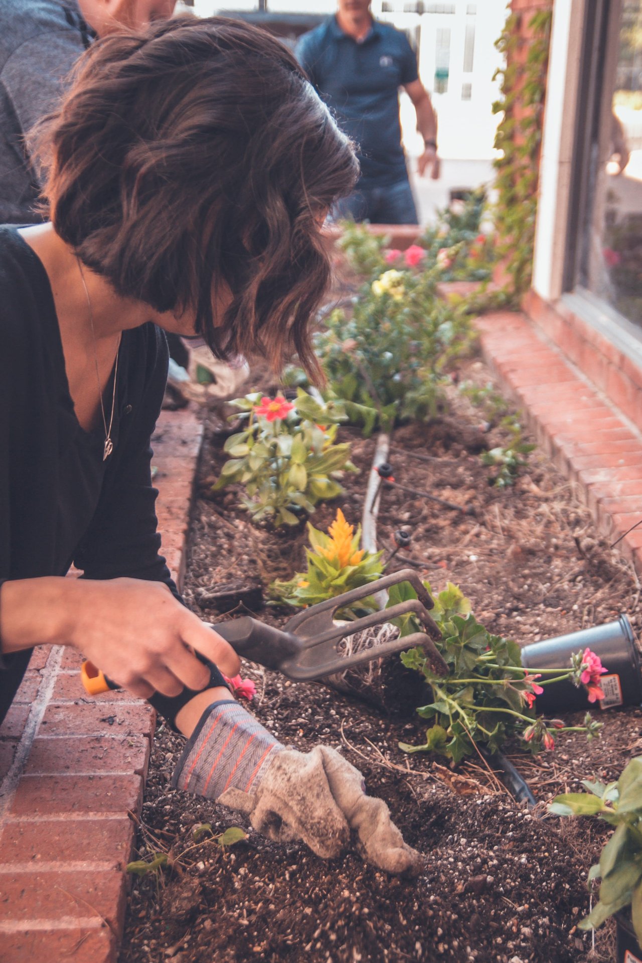 Green Home Improvement Ideas 