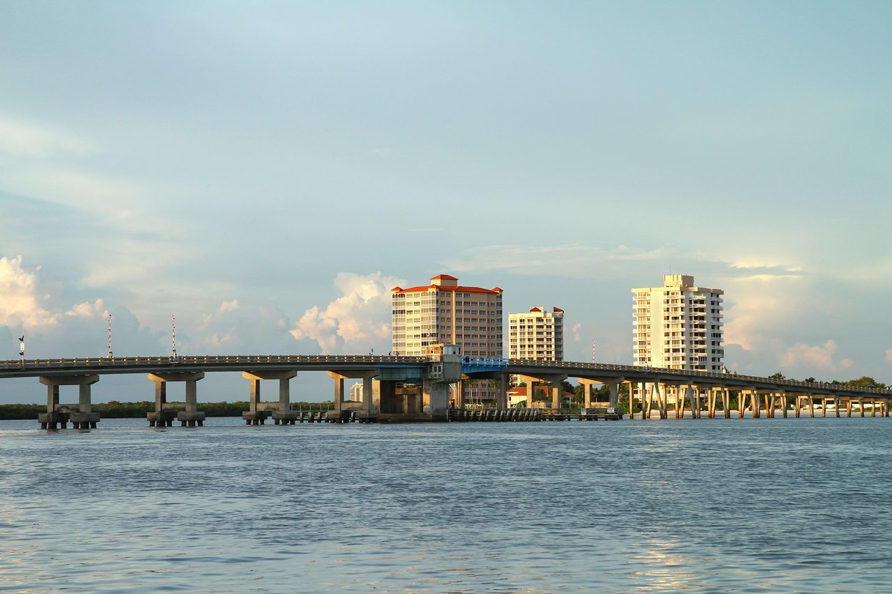 Saltleaf on Estero Bay