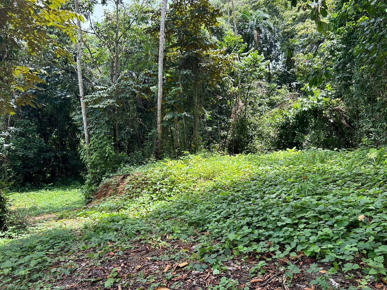 River frontage lot in desirable neighborhood in Uvita