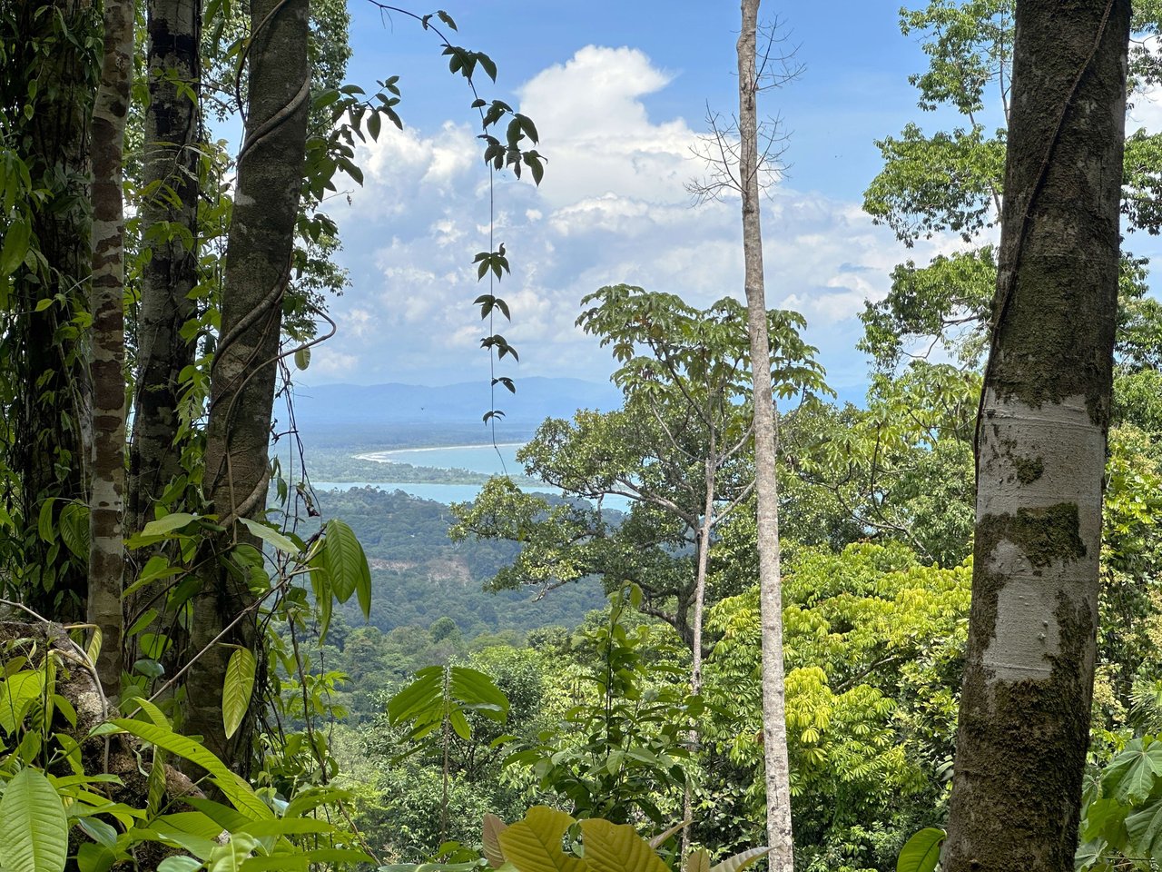 5.77 Acres With 4 Building Sites. Ocean Views, Rivers And Rainforest Abound In Cinco Ventanas! Ojochal 