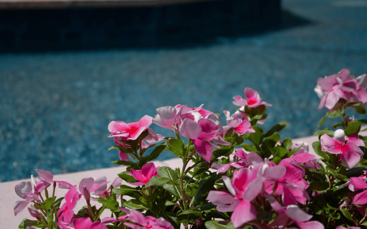 10 Tips for First-Time Homebuyers in McKinney