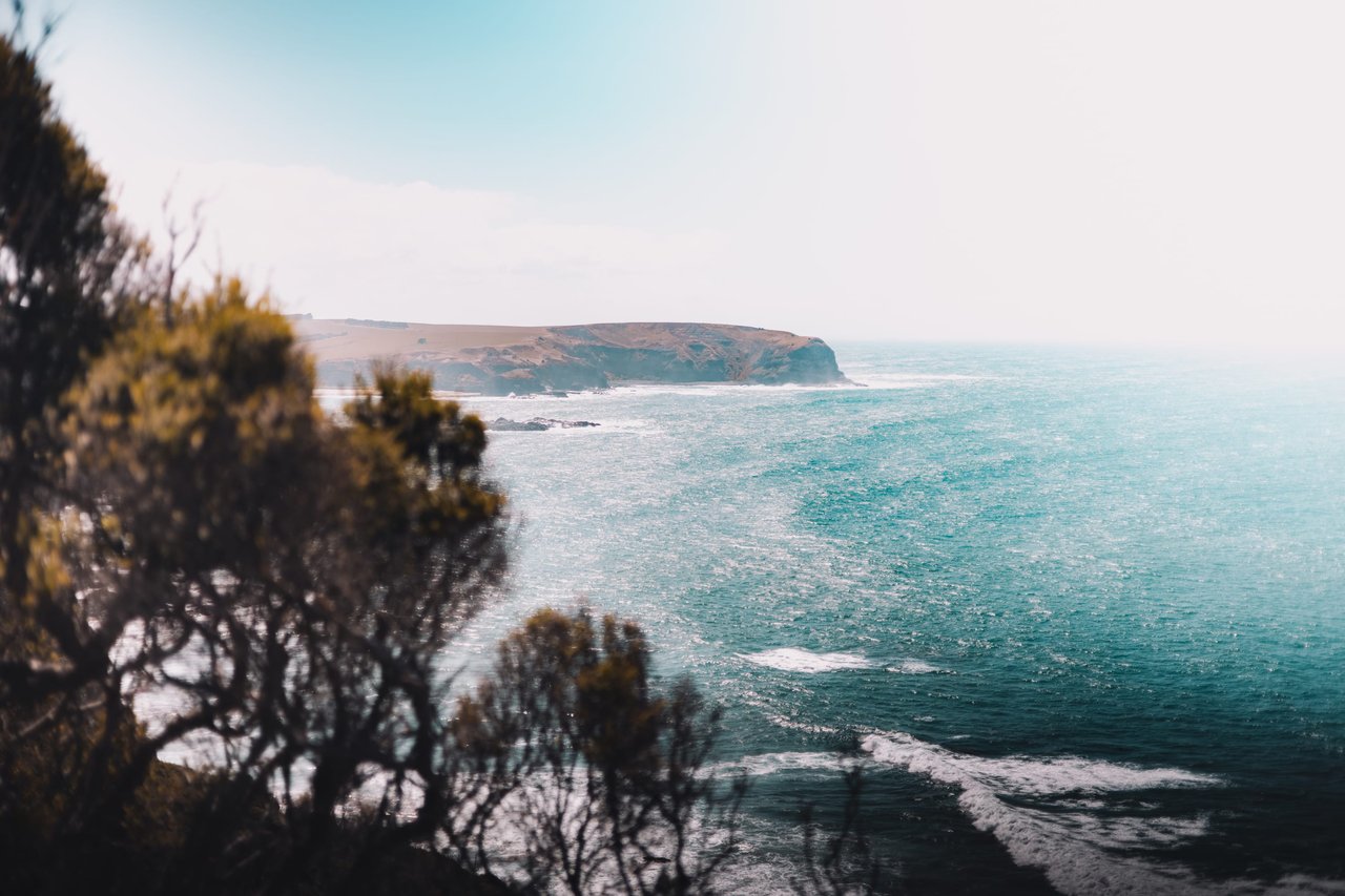 Sonoma Coast