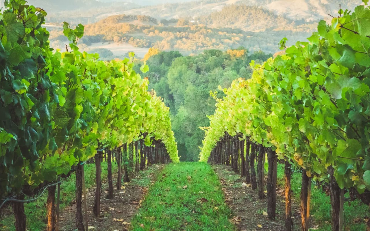 Your Guide to Healdsburg, CA