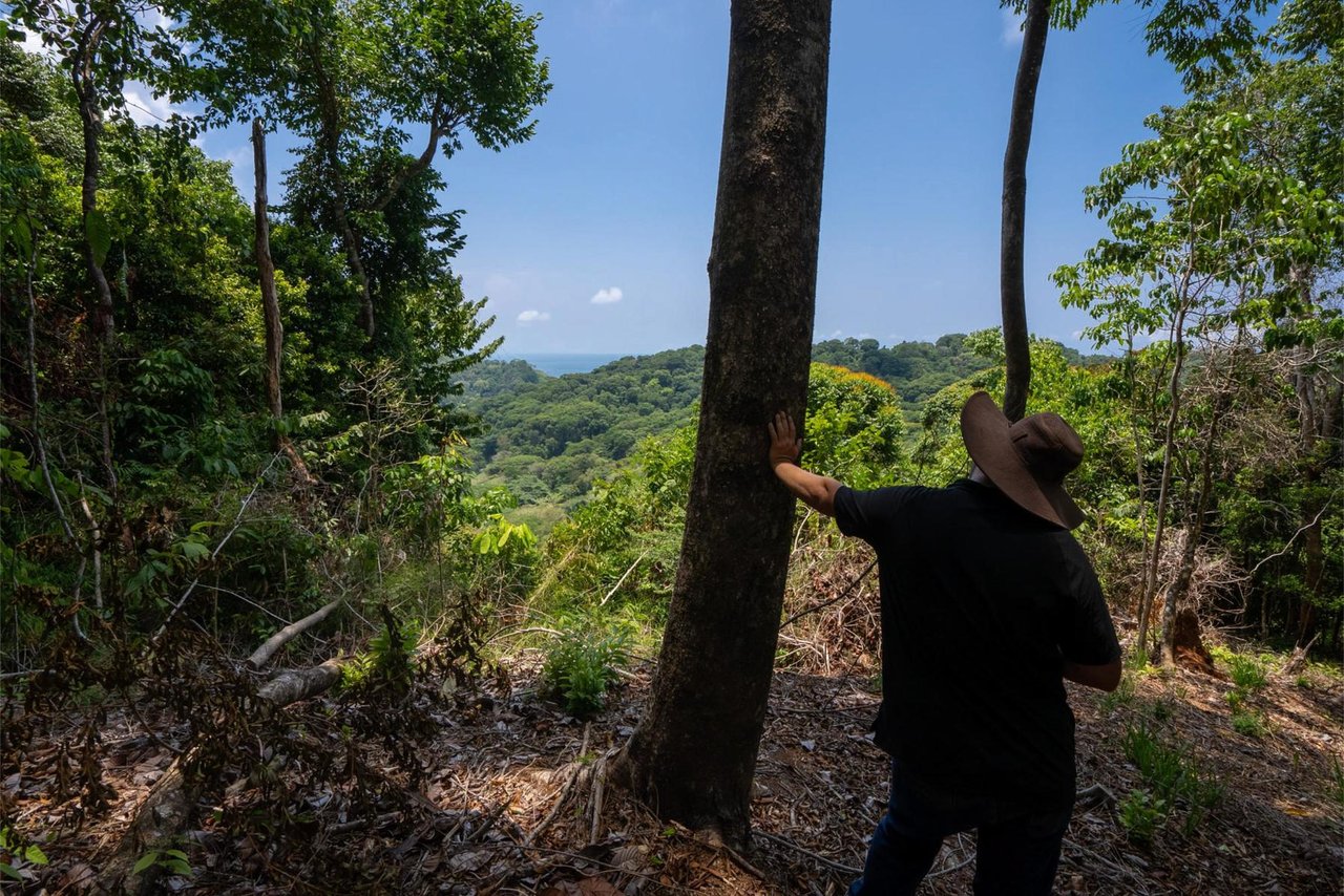 Private Ocean View Development Lot, Dominical, Puntarenas