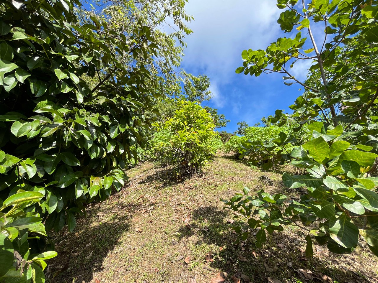 Costa Azul 120-degree Mountain View House With Costarican Wooden House as Lagniappe.