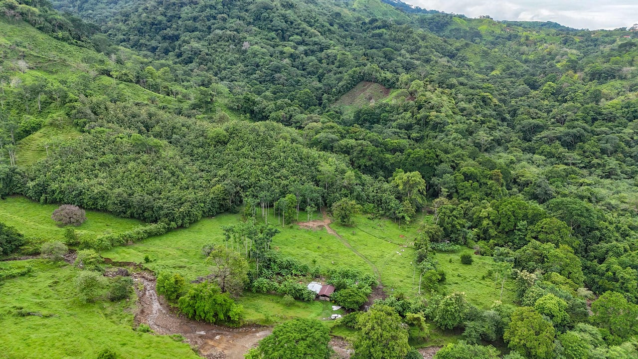 177 acre Ocean view property with multiple plantels, unspoiled mountain, jungle, river and waterfall areas