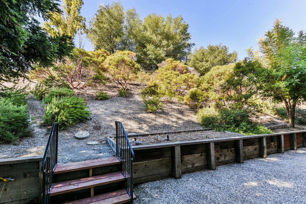 Fantastic Opportunity to buy in Alamo!