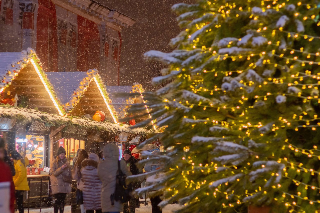 Enchanting Holiday Magic!