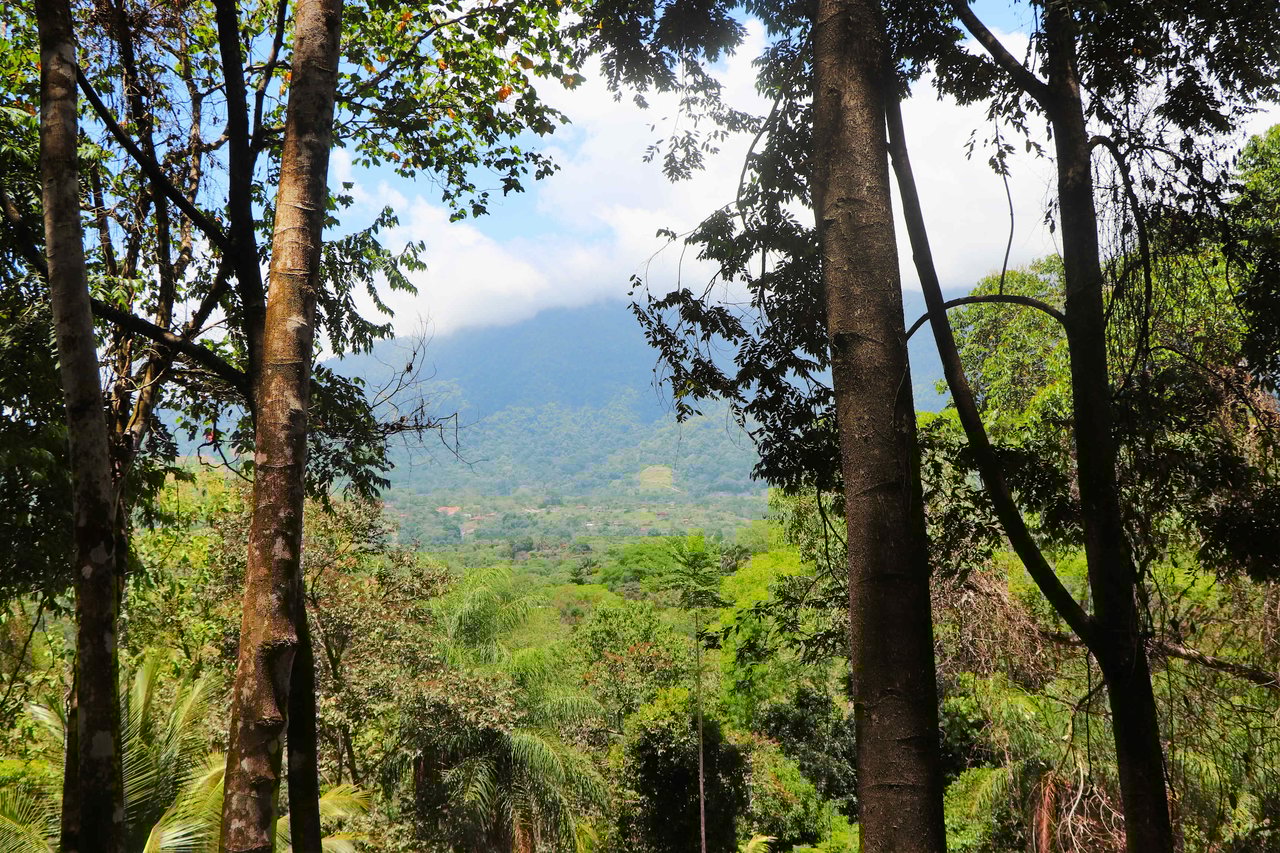Over One Acre Attractive Lot on the Popular PEREZOSO Road.