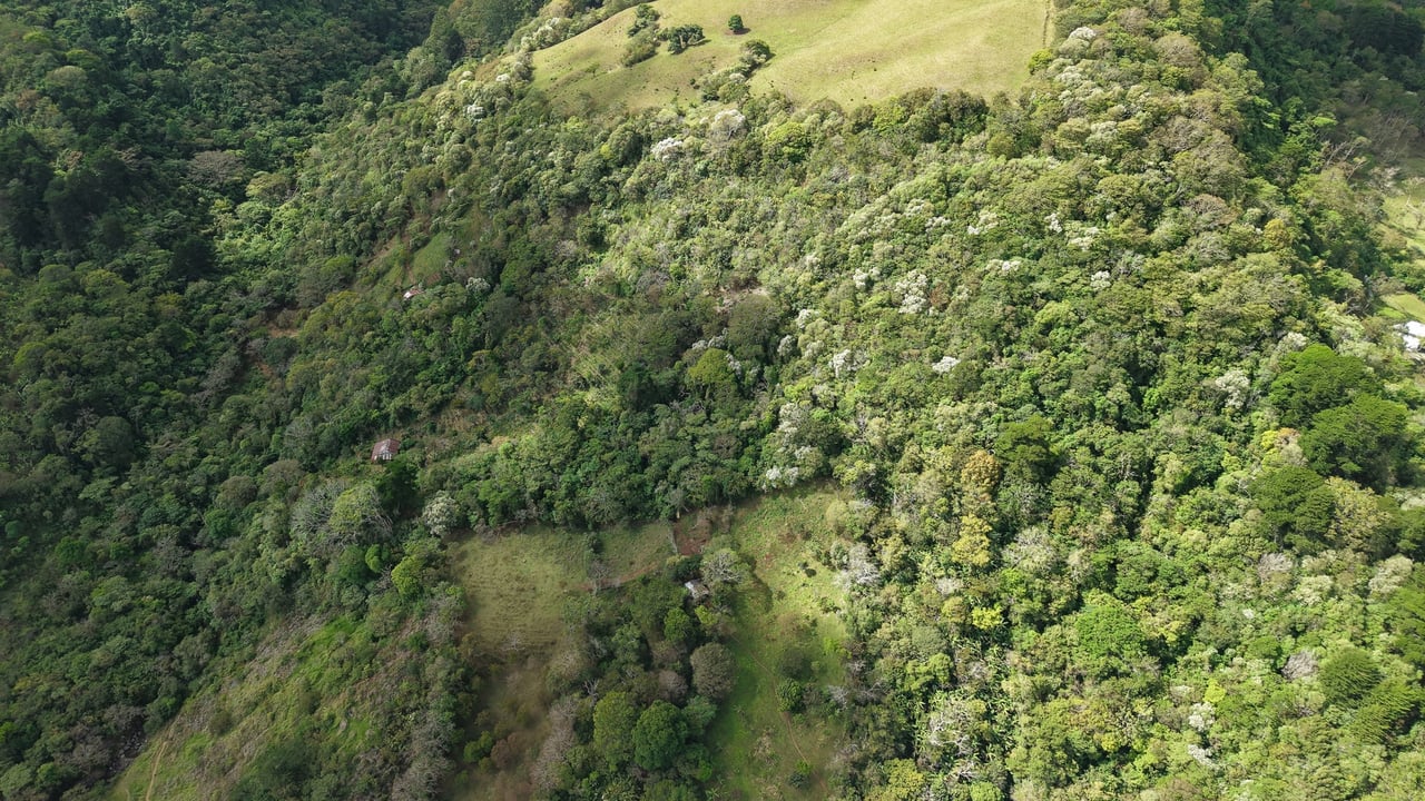 Panoramic View Buildable Land, Escazu, San Jose