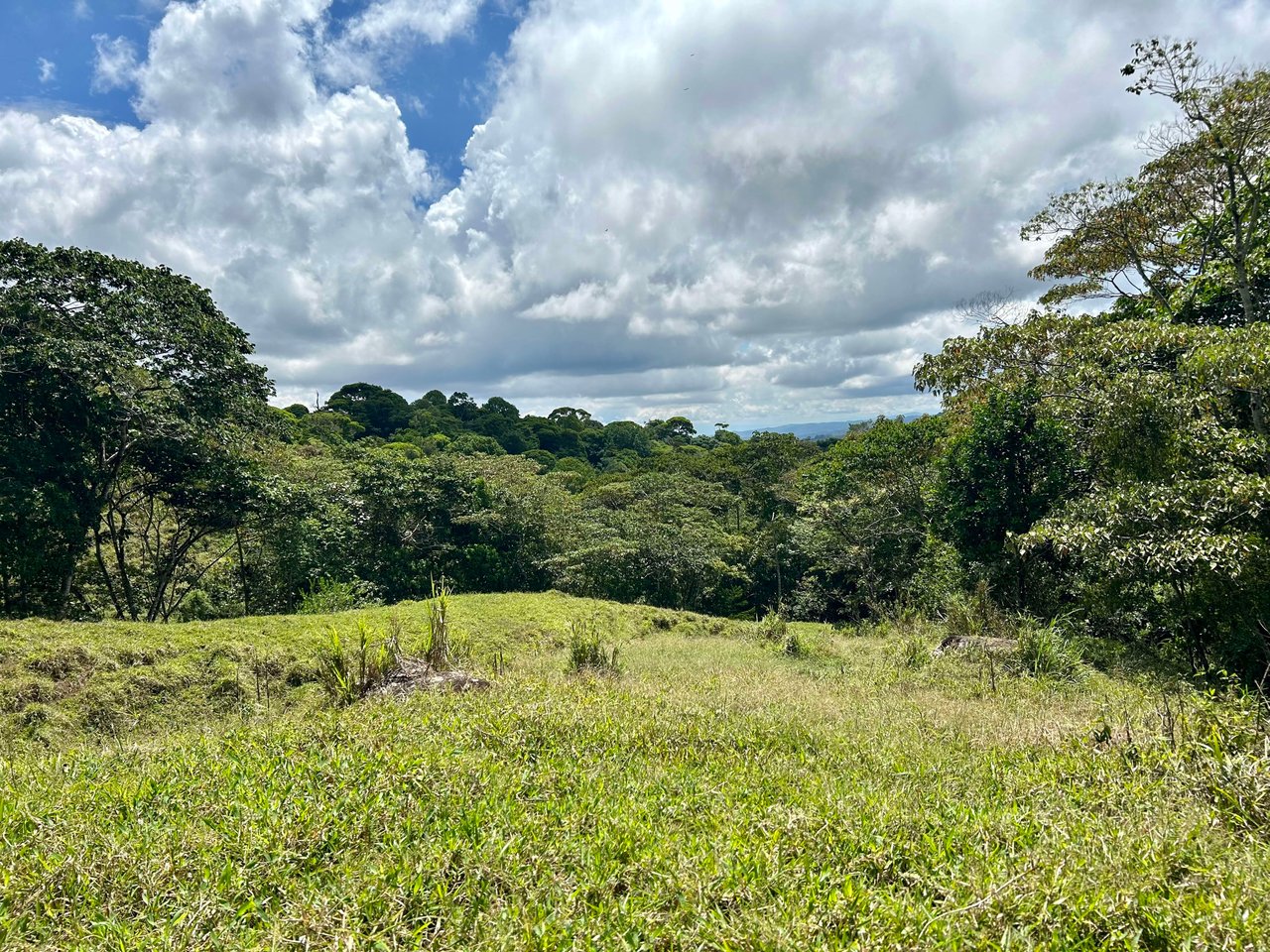 Hidden Gem: Serene Farm Retreat with Majestic Views in Costa Rica