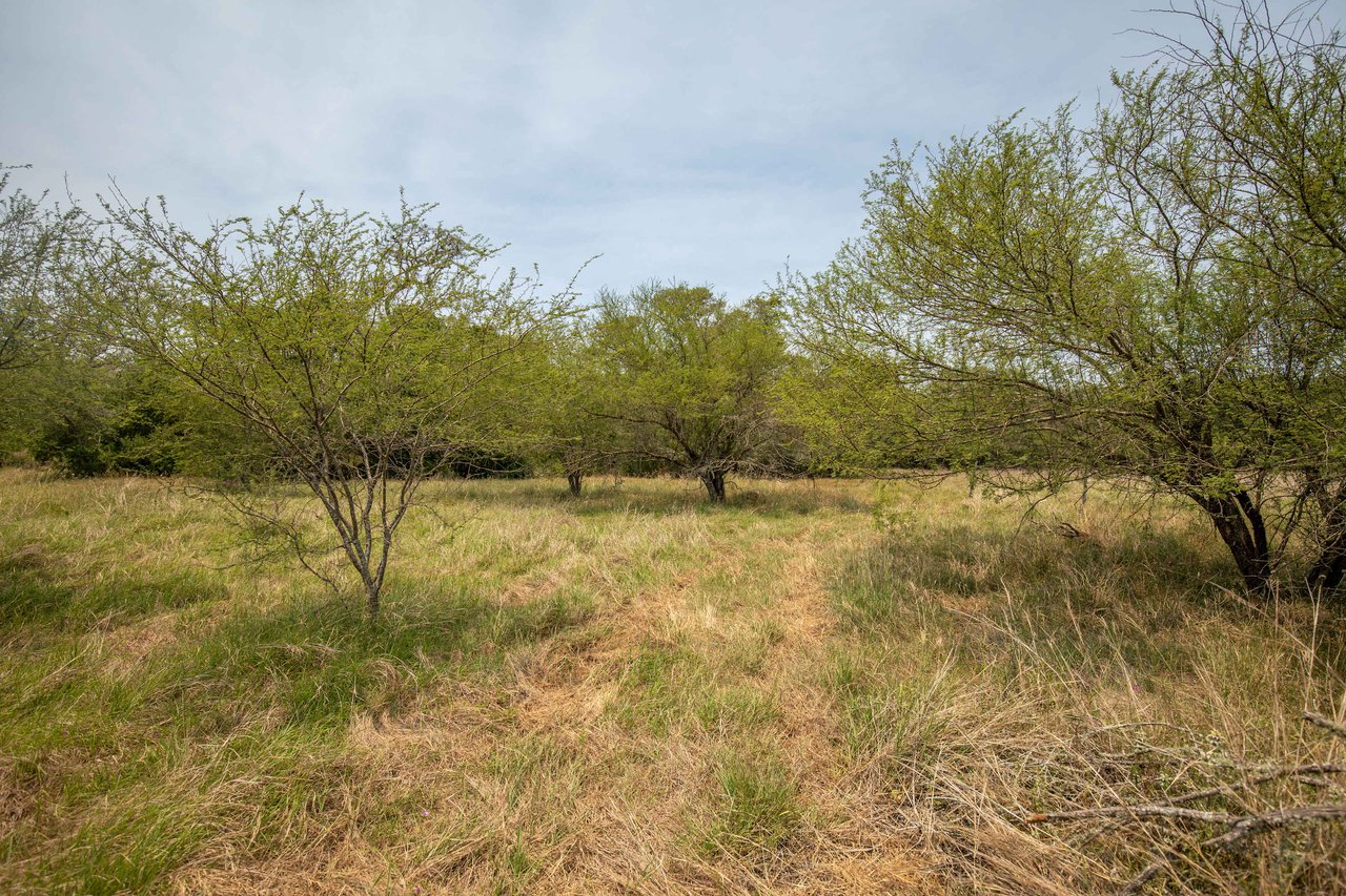 Green DeWitt Rd | 40.82± Acres | DeWitt County