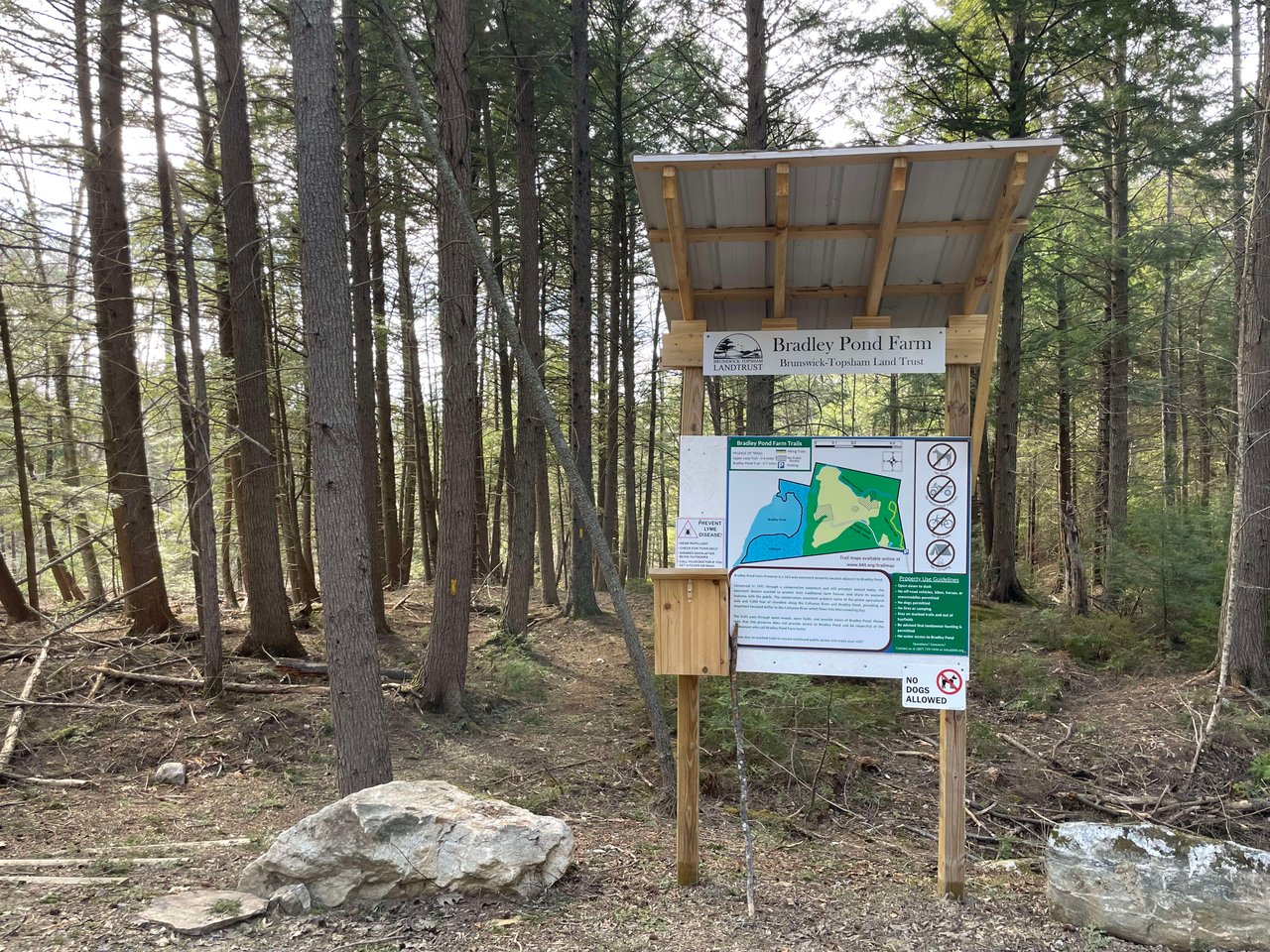 Local Hikes - Bradley Pond Farm,  Brunswick Topsham Land Trust