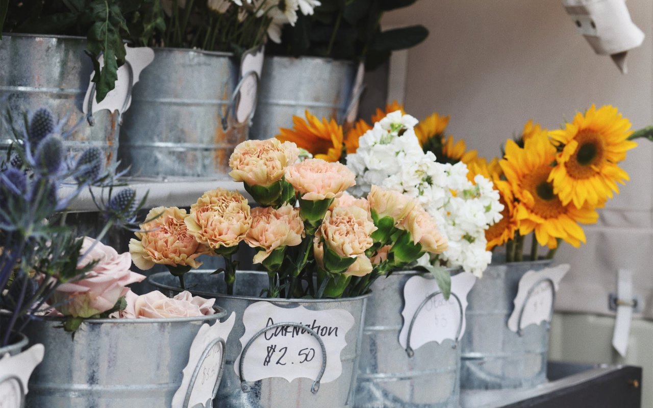 How to Bring the Outdoors Into Your Home