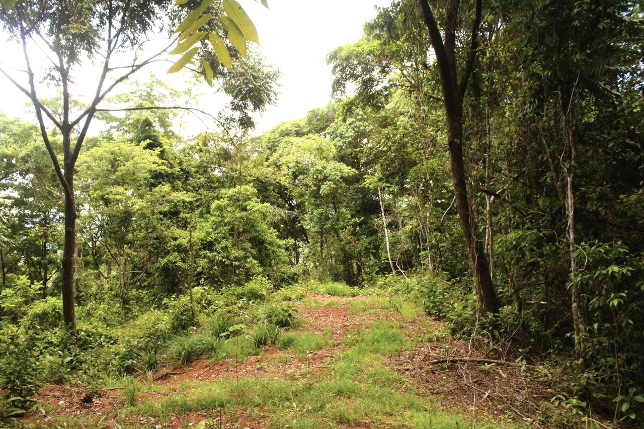 Wildlife Reserve Farm close to Ojochal