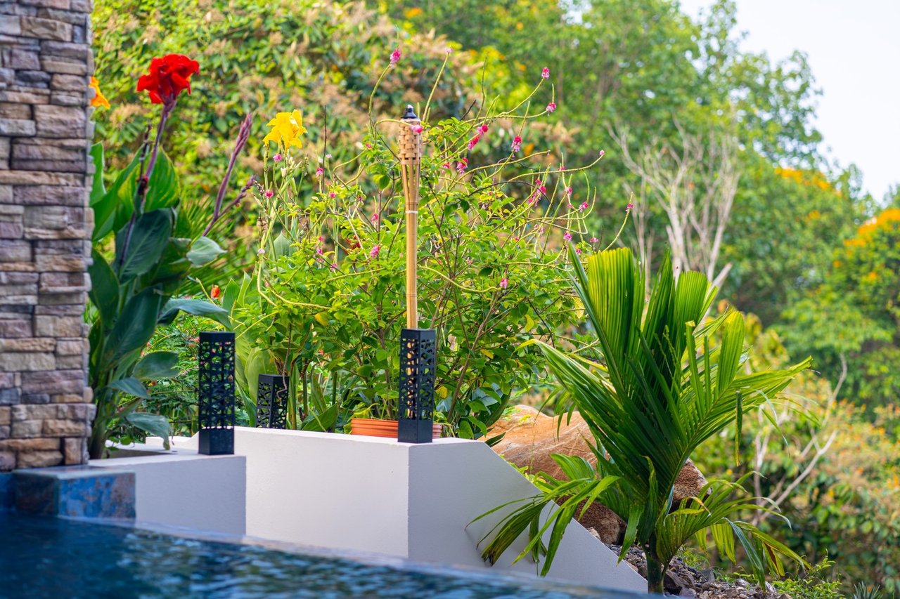 Modern Tropical Infinity Pool Home, Dominical, Puntarenas