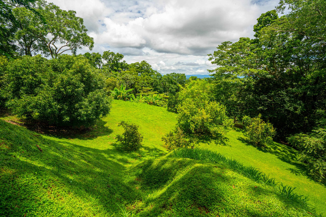 Tres Rios Stunning Osa Peninsula Ocean View Land, Ready to Build!