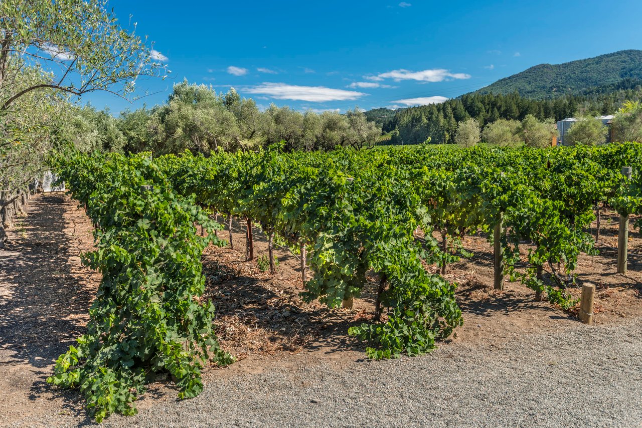 Inglewood Avenue, St. Helena