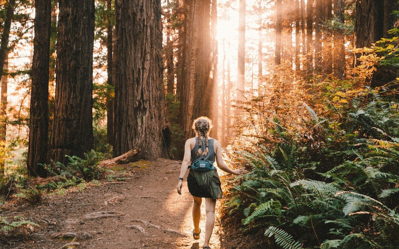 Check Out These 12 Things to Do in Oyster Bay During Your First Year